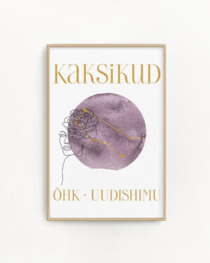 Tähtkujuposter Kaksikud