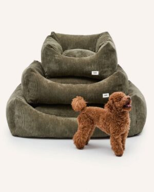 Soonik-sametist koerapesa Snozy, erinevad värvid