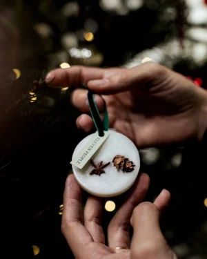 ELEVEN PEOPLE Waxbar Xmas 12 - lõhnaplaat, jõulud